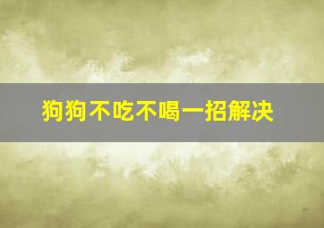 狗狗不吃不喝一招解决