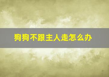 狗狗不跟主人走怎么办