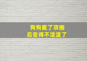 狗狗戴了项圈后变得不活泼了