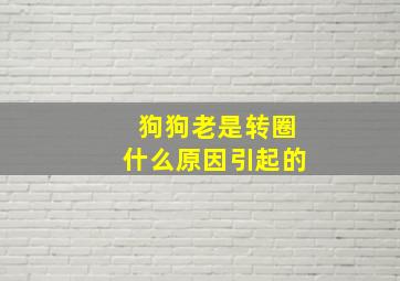 狗狗老是转圈什么原因引起的