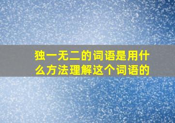 独一无二的词语是用什么方法理解这个词语的