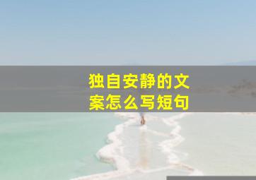 独自安静的文案怎么写短句