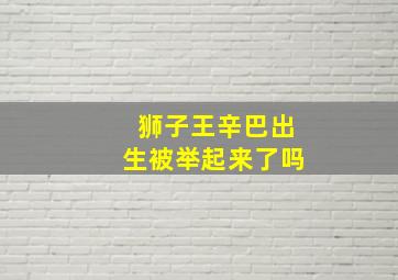 狮子王辛巴出生被举起来了吗