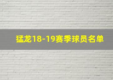 猛龙18-19赛季球员名单