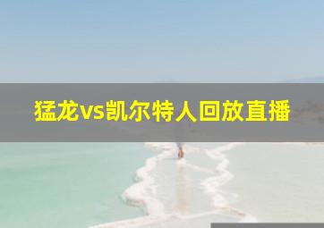 猛龙vs凯尔特人回放直播