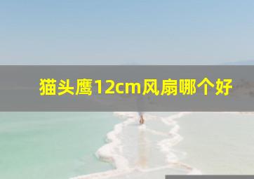 猫头鹰12cm风扇哪个好