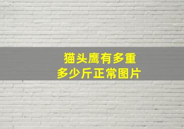 猫头鹰有多重多少斤正常图片