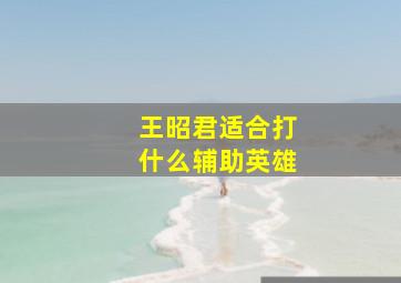 王昭君适合打什么辅助英雄