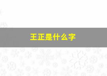 王正是什么字