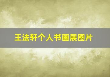 王法轩个人书画展图片