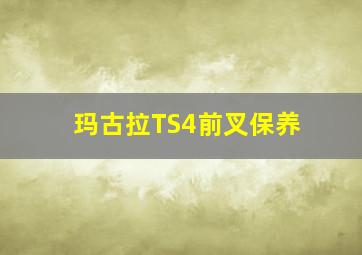 玛古拉TS4前叉保养