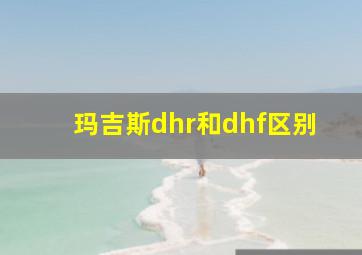 玛吉斯dhr和dhf区别