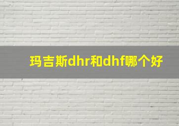 玛吉斯dhr和dhf哪个好