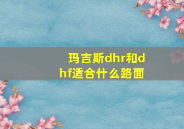 玛吉斯dhr和dhf适合什么路面