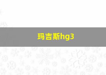 玛吉斯hg3