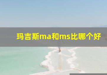 玛吉斯ma和ms比哪个好