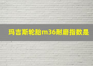 玛吉斯轮胎m36耐磨指数是