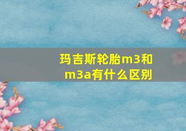 玛吉斯轮胎m3和m3a有什么区别