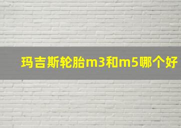 玛吉斯轮胎m3和m5哪个好