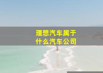 理想汽车属于什么汽车公司