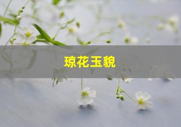 琼花玉貌