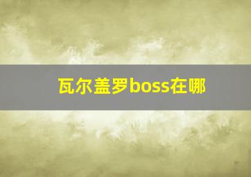 瓦尔盖罗boss在哪