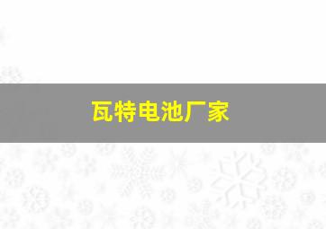 瓦特电池厂家