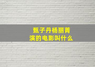 甄子丹杨丽菁演的电影叫什么