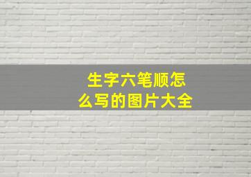 生字六笔顺怎么写的图片大全