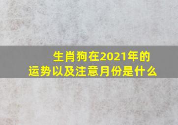 生肖狗在2021年的运势以及注意月份是什么