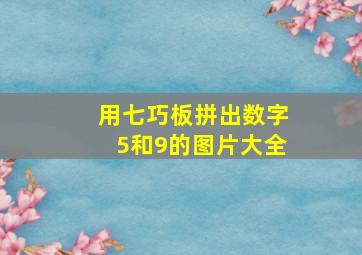 用七巧板拼出数字5和9的图片大全