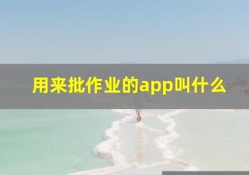 用来批作业的app叫什么