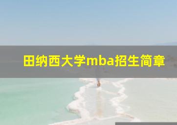 田纳西大学mba招生简章