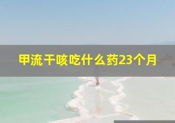 甲流干咳吃什么药23个月