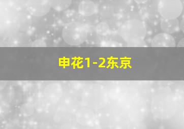 申花1-2东京