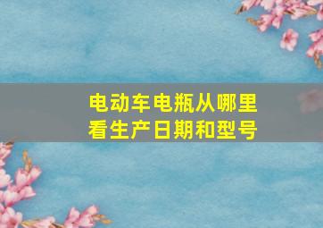 电动车电瓶从哪里看生产日期和型号