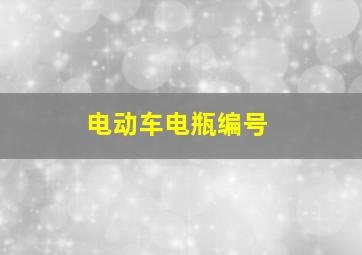 电动车电瓶编号