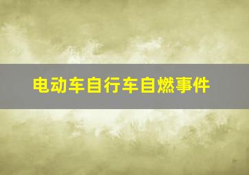 电动车自行车自燃事件