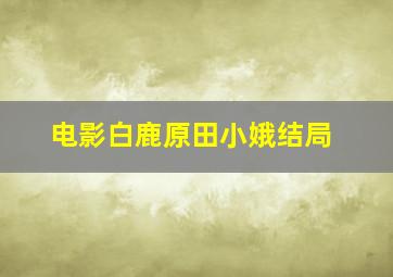 电影白鹿原田小娥结局