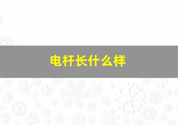 电杆长什么样