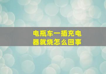 电瓶车一插充电器就烧怎么回事