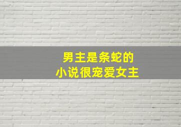 男主是条蛇的小说很宠爱女主