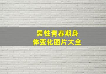 男性青春期身体变化图片大全