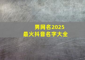 男网名2025最火抖音名字大全