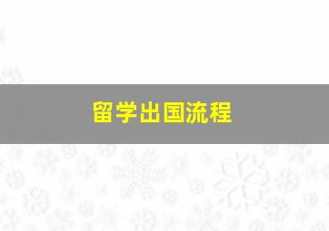 留学出国流程