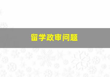 留学政审问题