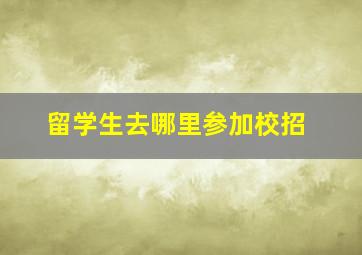 留学生去哪里参加校招