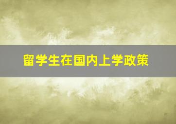 留学生在国内上学政策