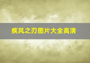 疾风之刃图片大全高清