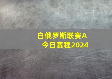 白俄罗斯联赛A今日赛程2024